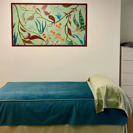 Deluxe Vittorio Po Centro * تورينو